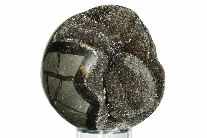 Polished, Septarian Geode Sphere - Madagascar #230409